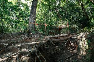 BIB: 
                            <button type="button" onclick="openModal(27799897)" class="btn btn-primary btn-sm float-right btn-popup" data-toggle="modal" data-target=".modal-high-quality">
                        <i class="fas fa-shopping-cart"></i> Add to Cart
                    </button>
                                            <button type="button" onclick="isThisMe(27799897, true)" class="btn btn-success btn-sm float-right btn-popup btn-isme hidden" data-toggle="tooltip" data-placement="bottom" title="นี่คือรูปของคุณใช่ไหม คลิกที่นี่เพื่อเอาเข้าอัลบั้ม">
                        <i class="fas fa-plus"></i> Add to album
                    </button>
                    <button type="button" onclick="isThisMe(27799897, false)" class="btn btn-warning btn-sm float-right btn-popup btn-isnotme hidden">
                        <i class="fas fa-ban"></i> Remove from album
                    </button>